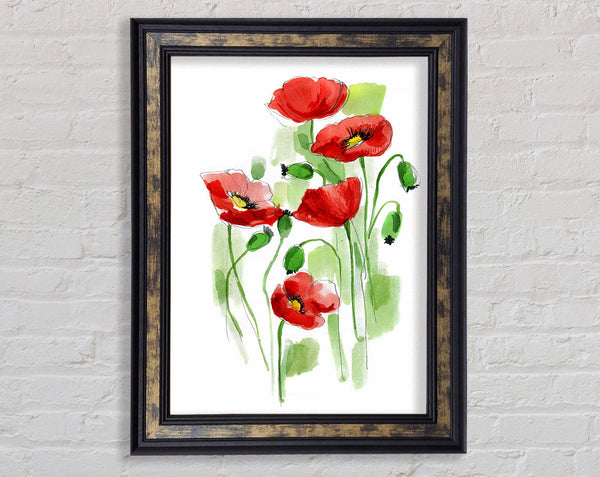 Poppies In Bloom Framed Print