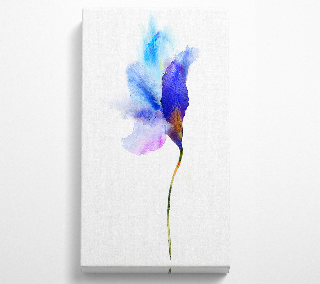  A Canvas Print of Gentle Petal Opening Canvas Wall Art