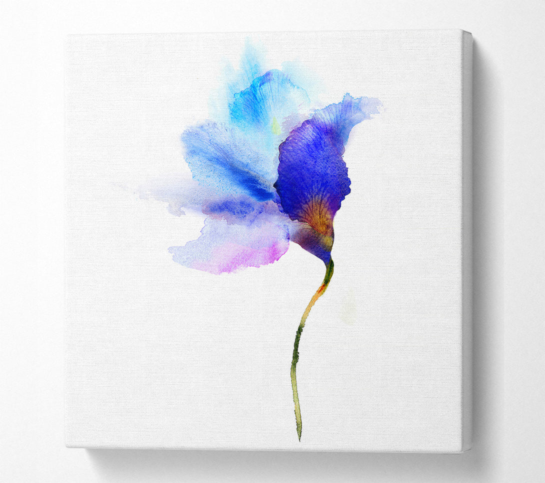  A Canvas Print of Gentle Petal Opening Canvas Wall Art