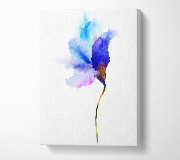  A Canvas Print of Gentle Petal Opening Canvas Wall Art