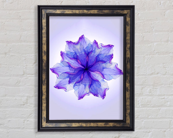 Whisper 1 Framed Print