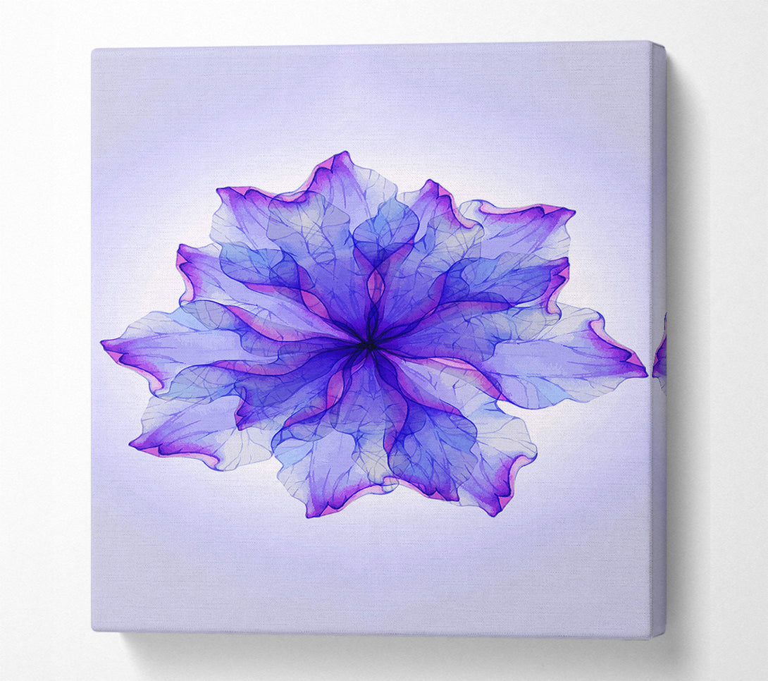  A Canvas Print of Whisper 1 Canvas Print