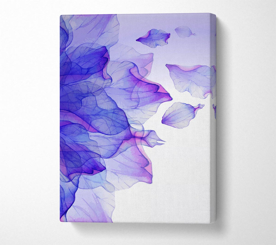  A Canvas Print of Whisper 2 Canvas Wall Art