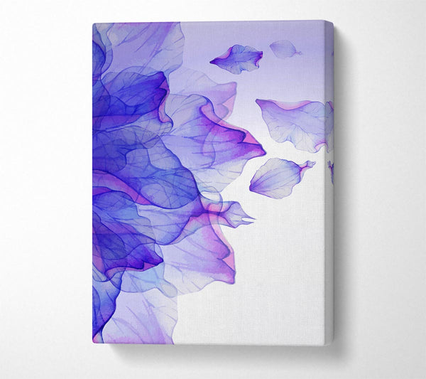  A Canvas Print of Whisper 2 Canvas Wall Art