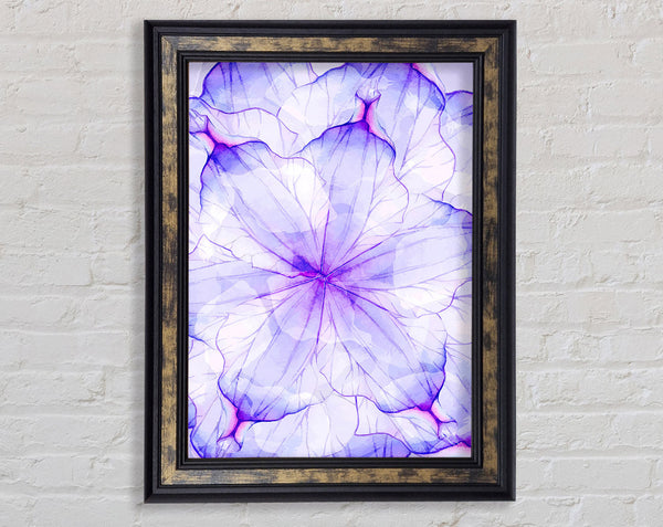 Whisper 3 Framed Print