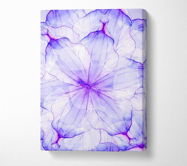  A Canvas Print of Whisper 3 Canvas Print