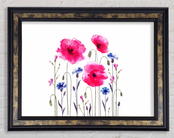 Pink Poppy Abstract Framed Print