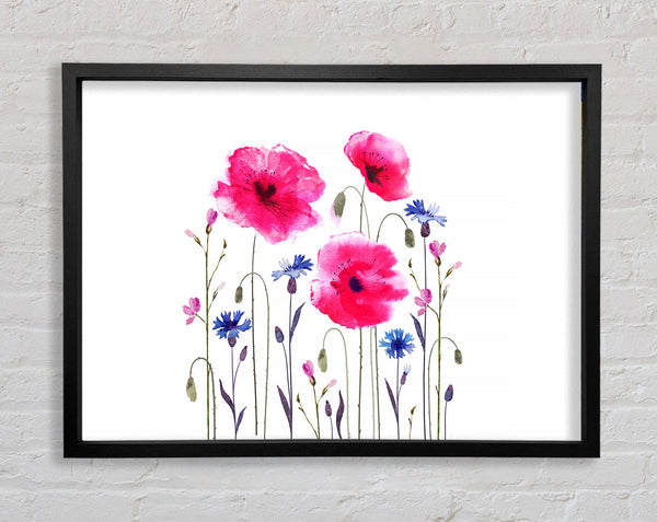 Rosa Mohn abstrakt