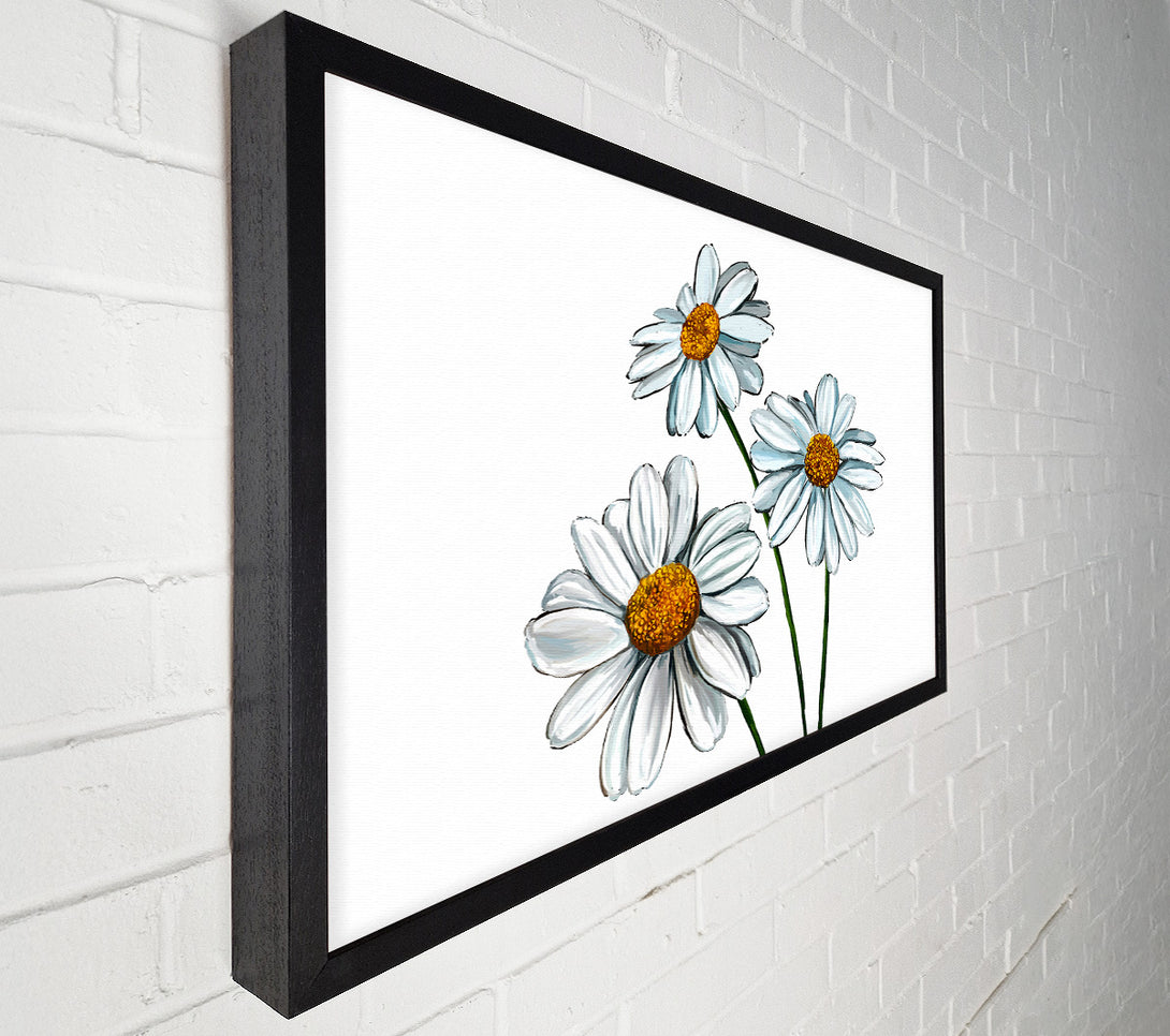  A Canvas Print of White Daisy Trio Canvas Art