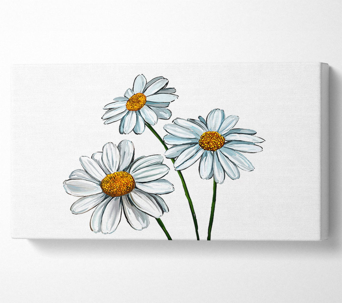  A Canvas Print of White Daisy Trio Canvas Art