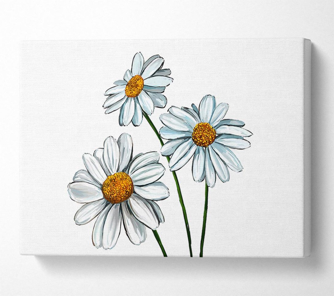  A Canvas Print of White Daisy Trio Canvas Art