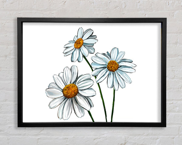 White Daisy Trio