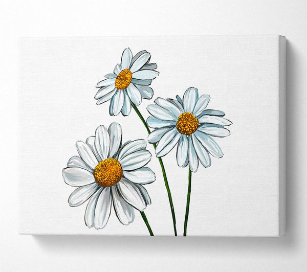  A Canvas Print of White Daisy Trio Canvas Art