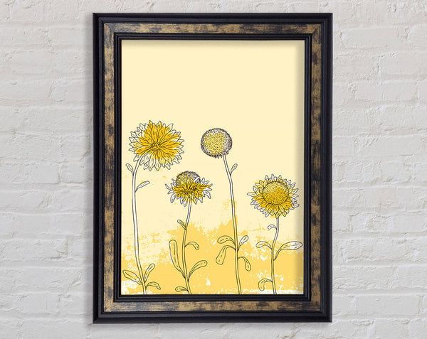 Sunflower Meadow Framed Print