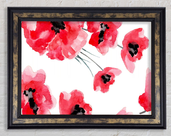 Just Poppies Framed Print