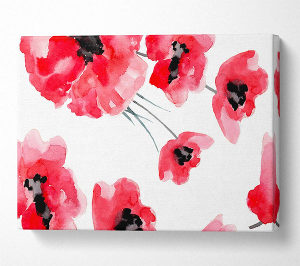  A Canvas Print of Just Poppies Canvas Art