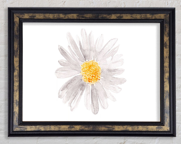 Grey Petal Beauty Framed Print