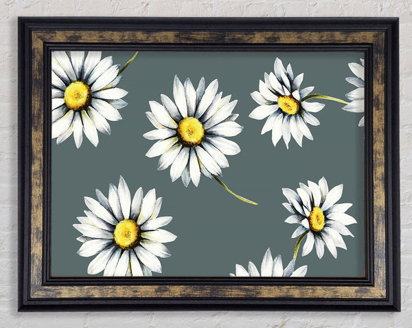 Aster Beauty Framed Print
