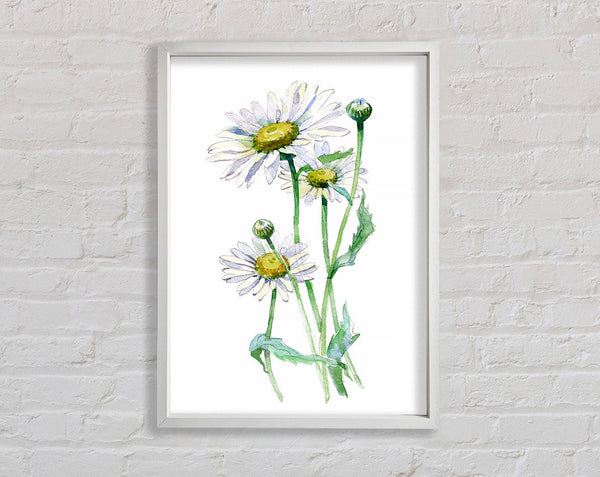 Daisy Center Framed Print