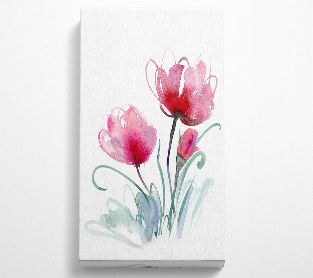  A Canvas Print of Trio Of Poppies Opening Canvas Print