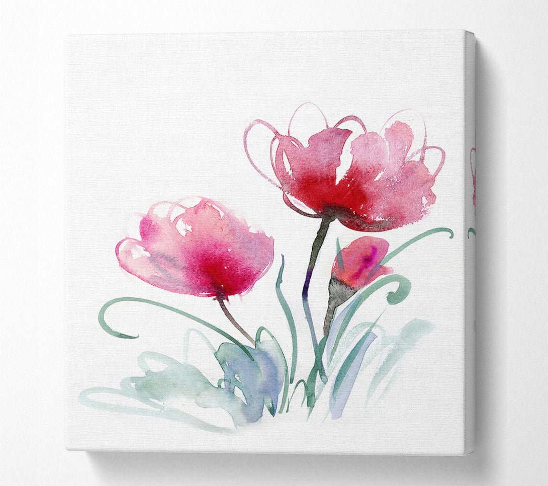  A Canvas Print of Trio Of Poppies Opening Canvas Print