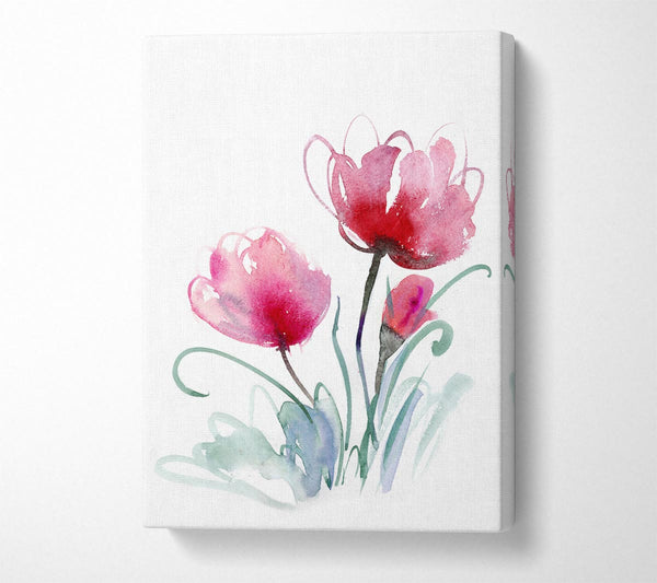  A Canvas Print of Trio Of Poppies Opening Canvas Print