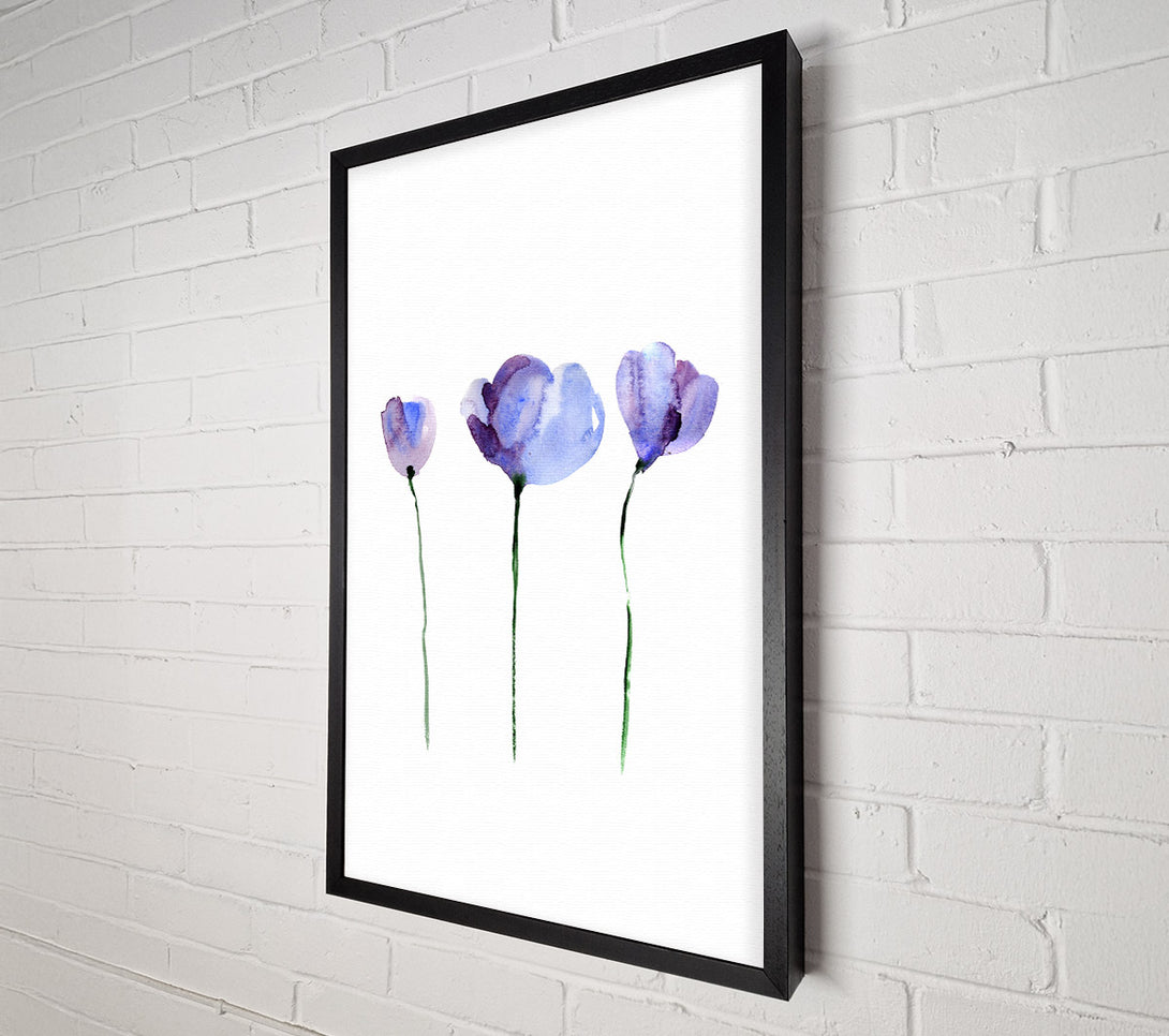  A Canvas Print of Periwinkle Before The Bloom Canvas Wall Art