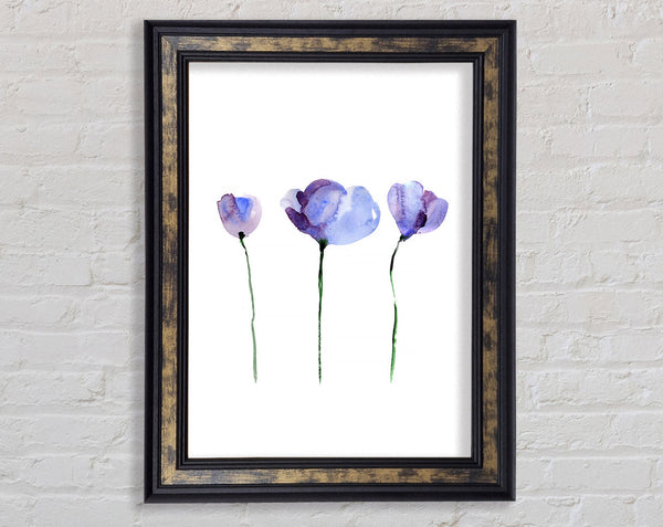 Periwinkle Before The Bloom Framed Print
