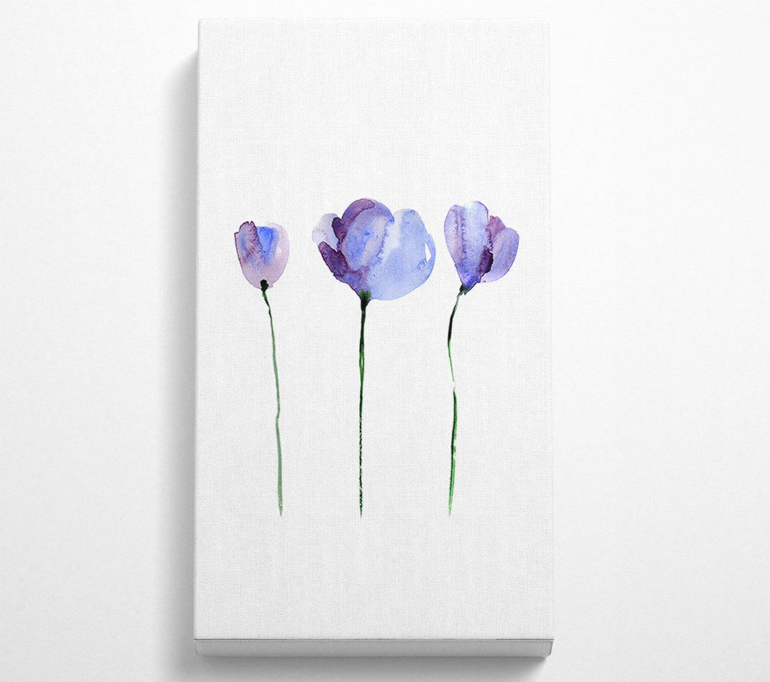  A Canvas Print of Periwinkle Before The Bloom Canvas Wall Art