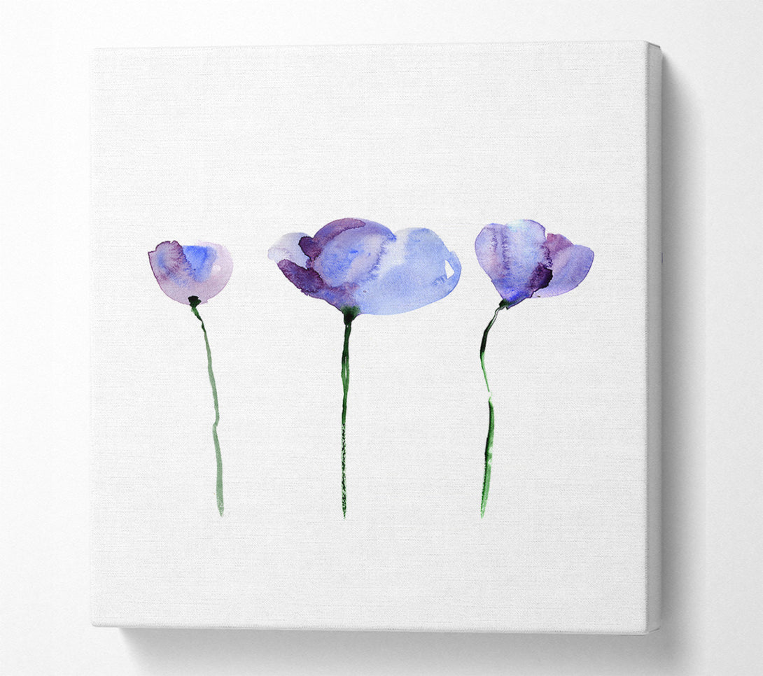  A Canvas Print of Periwinkle Before The Bloom Canvas Wall Art