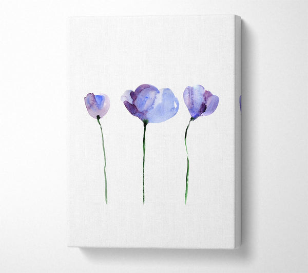  A Canvas Print of Periwinkle Before The Bloom Canvas Wall Art
