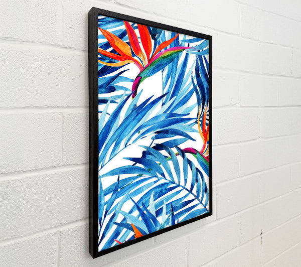 Bird Of Paradise