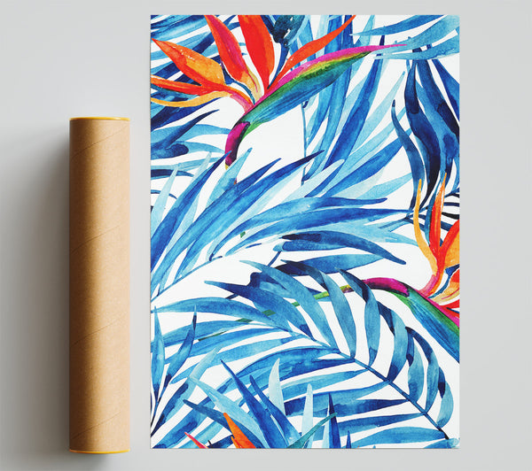 Bird Of Paradise Print