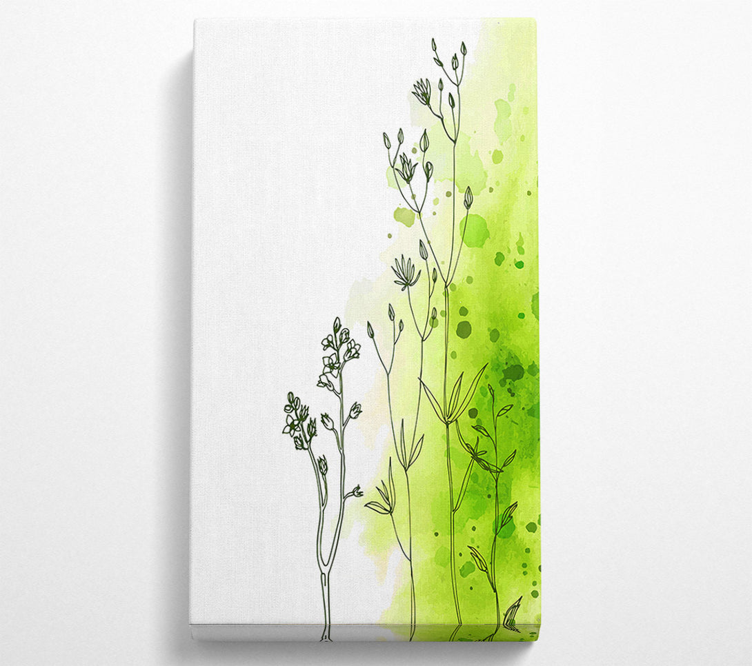  A Canvas Print of Climbing To The Sun Canvas Art
