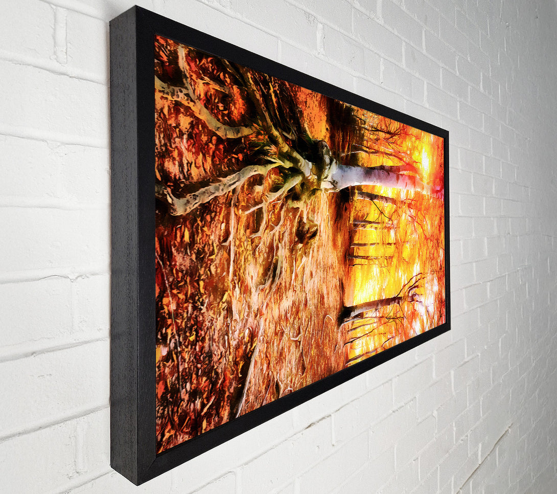  A Canvas Print of Golden Tre Walk Canvas Print