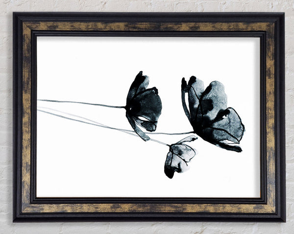 Black Poppy Abstract Framed Print