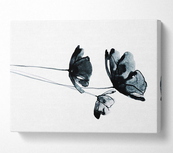  A Canvas Print of Black Poppy Abstract Canvas Wall Art
