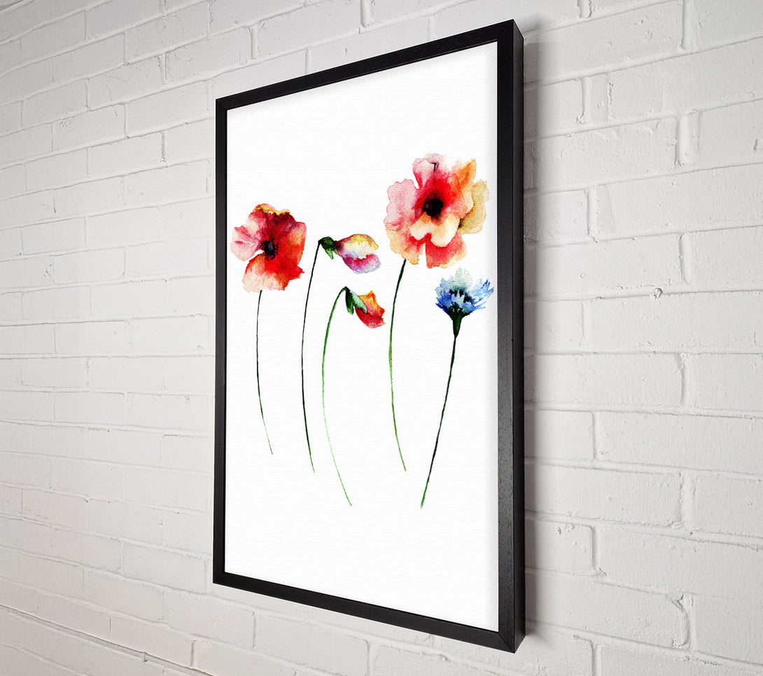  A Canvas Print of Poppy Stem Beauty Canvas Wall Art