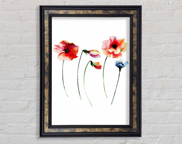 Poppy Stem Beauty Framed Print