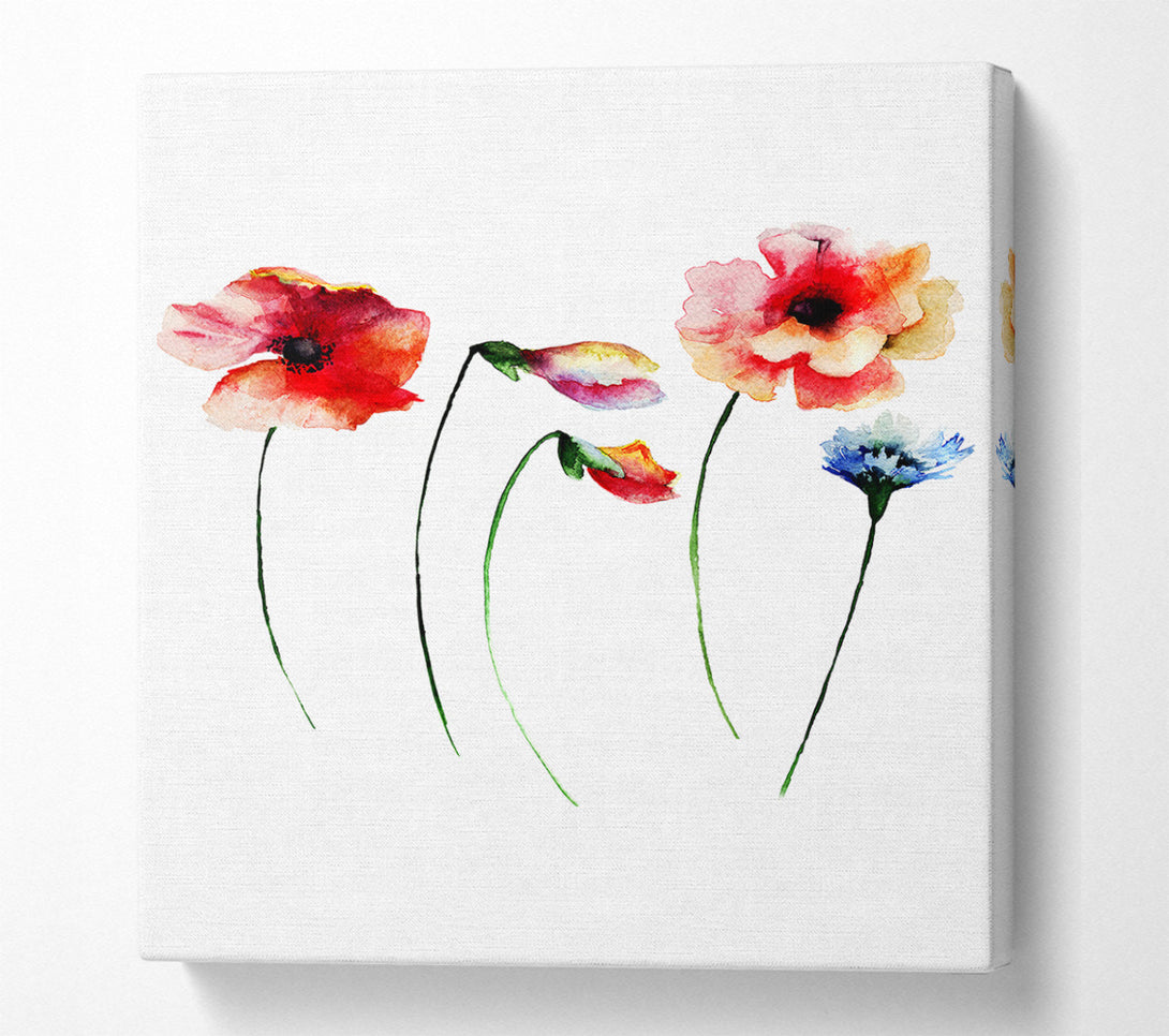 A Canvas Print of Poppy Stem Beauty Canvas Wall Art