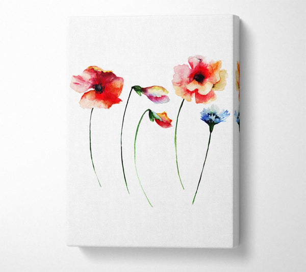 A Canvas Print of Poppy Stem Beauty Canvas Wall Art