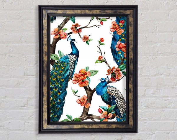 Peacock Branches Framed Print