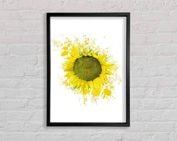 Sonnenblumenspritzer 2