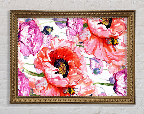 Carnation Poppy Garden Framed Print