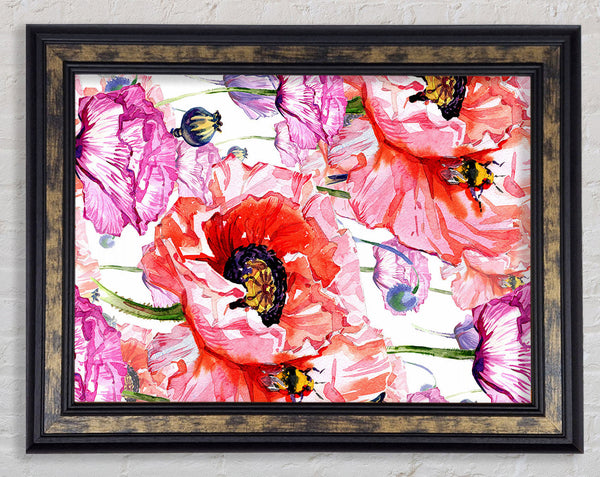 Carnation Poppy Garden Framed Print