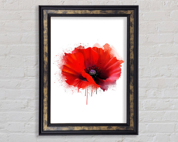 Poppy Melt Framed Print