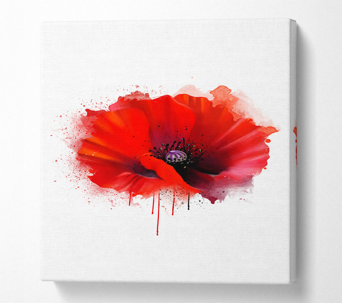  A Canvas Print of Poppy Melt Canvas Wall Art