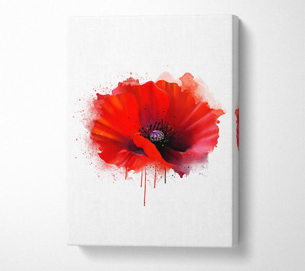  A Canvas Print of Poppy Melt Canvas Wall Art