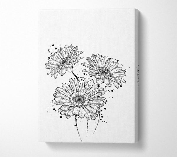  A Canvas Print of Black Daisy Splash Canvas Art