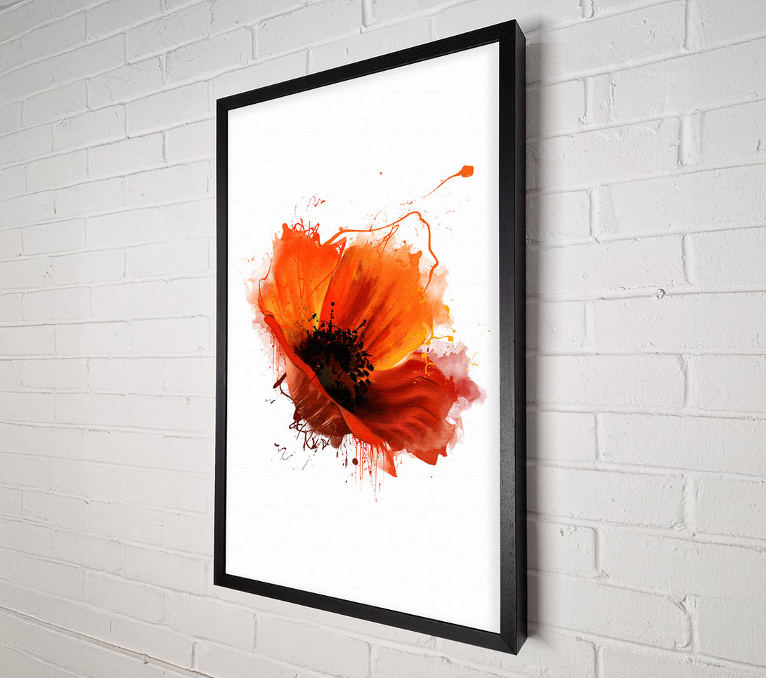  A Canvas Print of Red Poppy Head Canvas Art